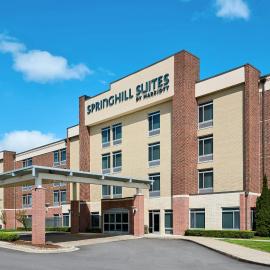 Springhill Suites by Marriott Detroit Metro Airport Romulus