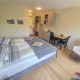 Hotel Studlagil Canyon, hotel in Grund