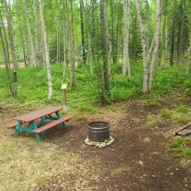 Houston Grass Station Campsite #12