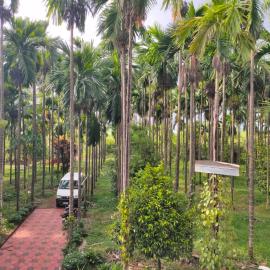 Silent River Homestay, hotel sa Perdūru