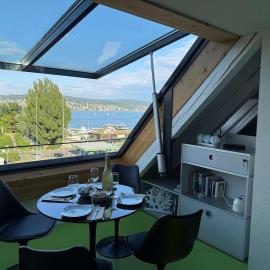 Lake Zurich Attic with Parking and View