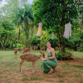 Deer Inn - Yala