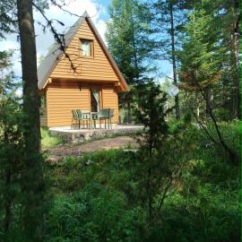 Durmitor Forest Retreat