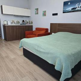 Cozy Ski-In Studio near forest at Crystal residence