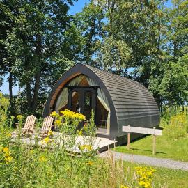 Tiny House De Hagekrûper, Hotel in Westergeest