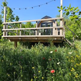 Tiny House De Skierroek, Hotel in Westergeest