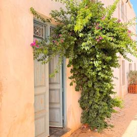 Entre art et tradition, au cœur de Djerbahood、Erriadhのホテル