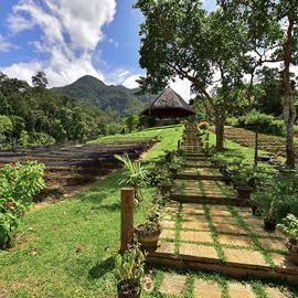 Sheridan Organic Farm and Resort, hotel em Maratapi