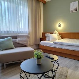 Apartment nahe Nürnberg - Business, Monteure & Urlaub