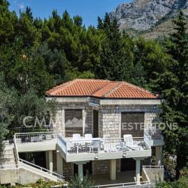 Villa Masha