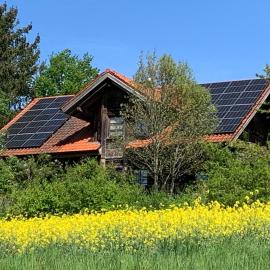 Ruhige Wohnung im Grünen Lichtenwald