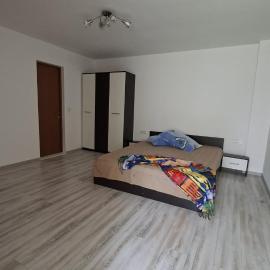 Camelia, hotel in Voineşiţa