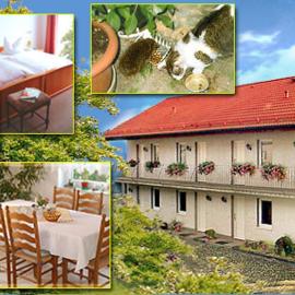 B&B -Pension Landhaus Lützen, khách sạn ở Lützen