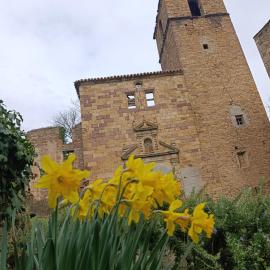 Albergue de Ruesta, hotel 