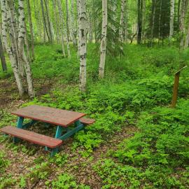 Houston Grass Station Campsite #14، فندق في واسيلا