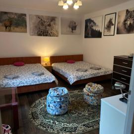 Dziupla Bieszczady, hotel u gradu 'Zatwarnica'