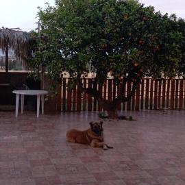 La casa de los abuelos