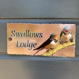 Swallows Lodge