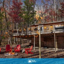 Cozy Cabin w Lake, Hot Tub, Huge Deck & Fire Pit, hotel in Lost City