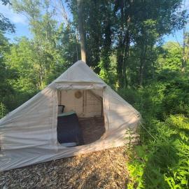 Tiny Timber Tent- ReTREET