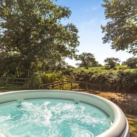 1 Bed in Combe St. Nicholas oc-b35052, hotell i Combe Saint Nicholas
