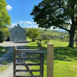 Bryn y Gog Tregaron