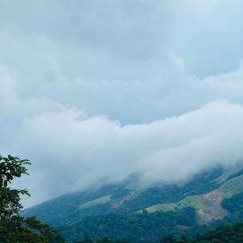 Coorg green valley Homestay and waterfalls, hótel í Madikeri