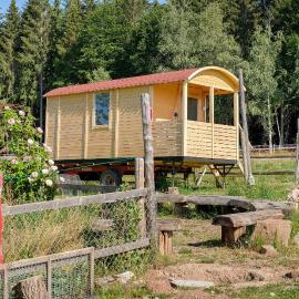 Tiny House auf dem Falkenhof, hotel in Eisenbach