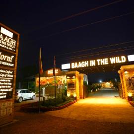 Baagh In The Wild Resort & spa, Hotel in Rājgarh