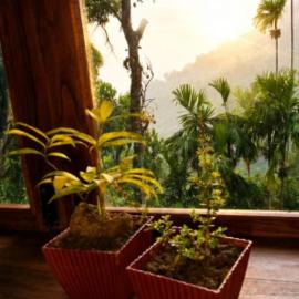 Blue Mountain Cabana