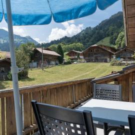 Alpine Chalet Apt near Interlaken Balcony&Parking、Saxetenのホテル