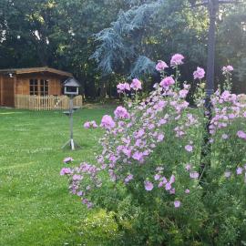 Bluebell Lodge Dog friendly nr Anderby Creek