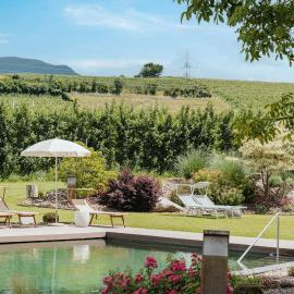 Hotel Girlanerhof, hotel v destinácii Appiano sulla Strada del Vino