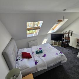 Luxury Smart Double Room - Free Parking - Dartfort Central
