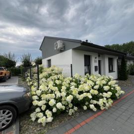 Hortensja 2 Check-in 24H, hotel v destinaci Oborniki