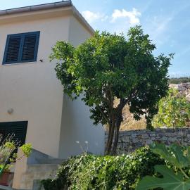 Hilly house - Vis