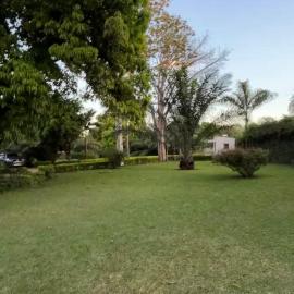 Crystal Hostels، فندق في ليفينغستون