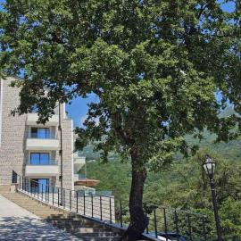 Sound of Silence Apartments