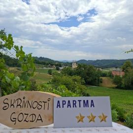 Skrivnosti gozda