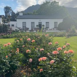 Rose Cottage De Hoop Farm PAARL SOUTH