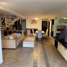 Vila Srna