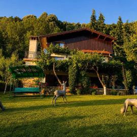 Сонита, hotel a Yamna