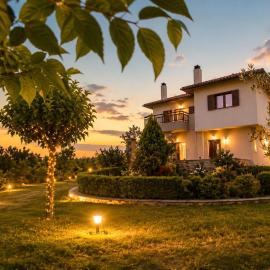 Olive View Cottage in Pelion