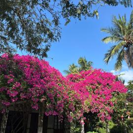 Ấp Chợ (2) में, होटल Que Nha Homestay