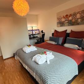 Panorama-Übernachtungen - 4 Sterne DTV - eigene Terrasse mit Garten - Infrarot-Sauna mit Dampfbad