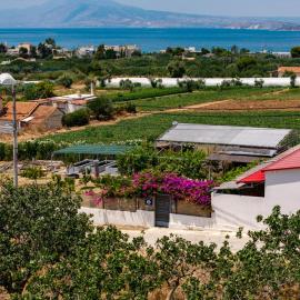 Garden Room with Private Patio Salamis, hotel v destinaci Eantio