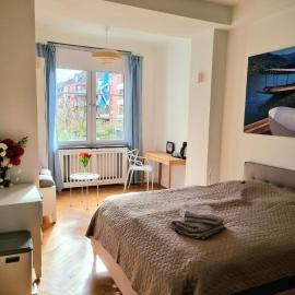 Großzügige moderne Wohnung 15 min vom Dom, hotel in Aachen