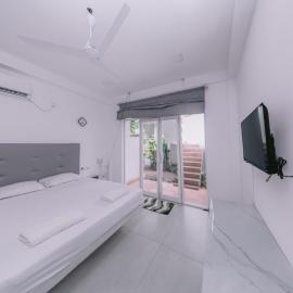 Vega Haven