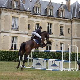 Chateau des Trois Brioux, hotel em Charentonnay