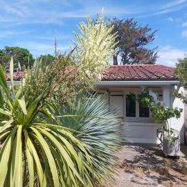 Les canaris, hotel in Mimizan-Plage
